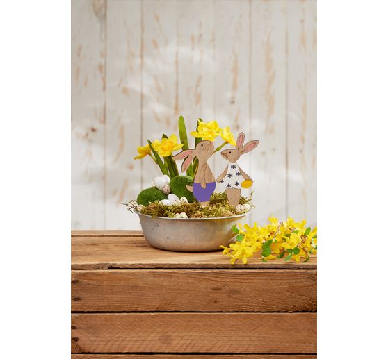 Mousse plate stabilisée, 50 g