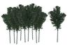 Branches de sapin VBS, 10 pc.