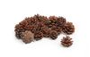 Pommes de pin VBS, env. 4 cm, 250 g