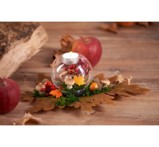 VBS Iceland moss, 100 g