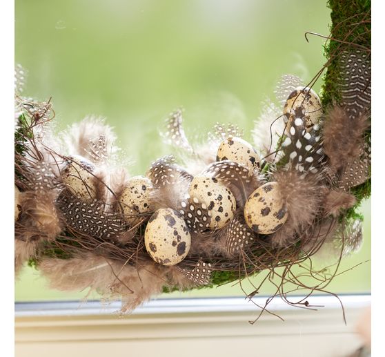 Quail eggs, natural
