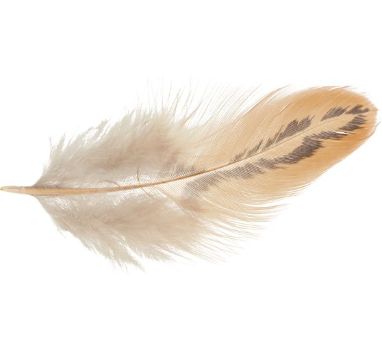 Plumes de poule, marron, 3 g
