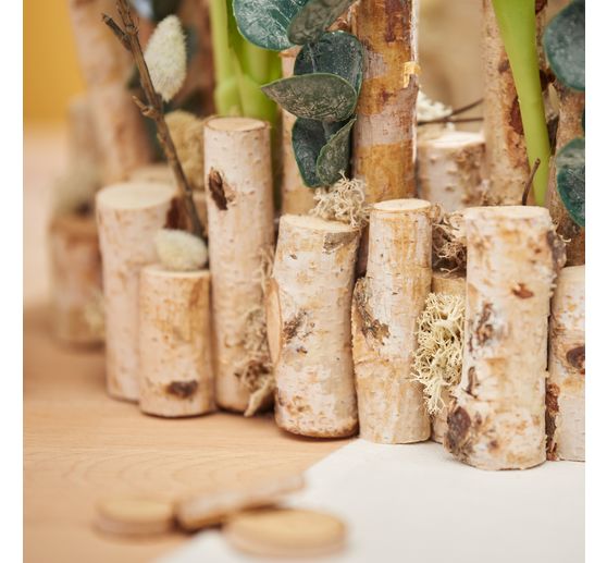 Branches de bouleau VBS &laquo; Dalke &raquo;, env. L 25 cm, 10 pc.