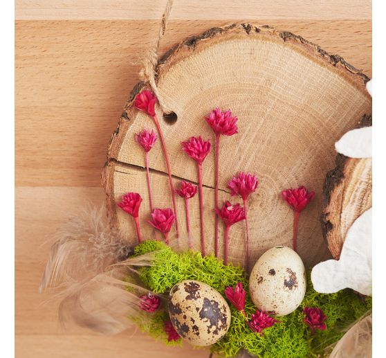 &OElig;ufs de caille, naturels