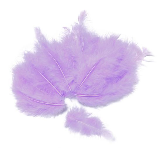 Plumes de marabout, env. 15 pièces