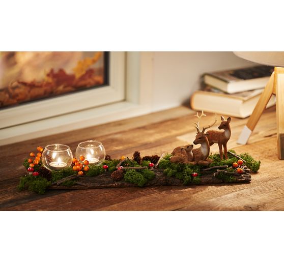 VBS Iceland moss, 100 g