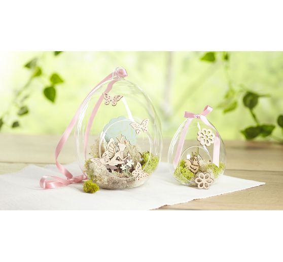 VBS Iceland moss, 100 g