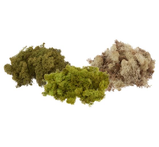VBS Iceland moss, 100 g