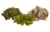 VBS Iceland moss, 100 g