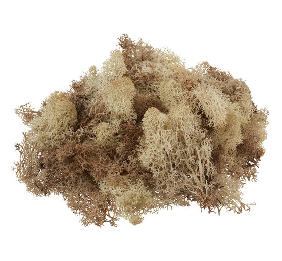 Lichen d'Islande VBS, 100 g