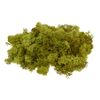 Lichen d'Islande VBS, 100 g Vert de mai