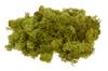 Lichen d'Islande VBS, 100 g