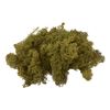 Lichen d'Islande VBS, 100 g Vert