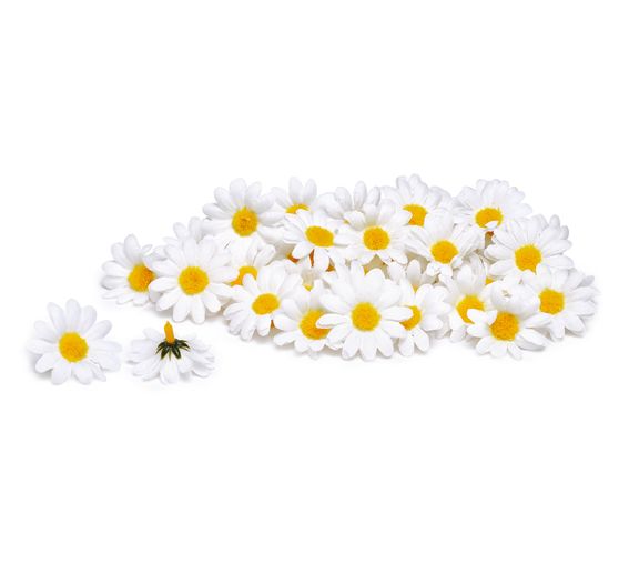 Fleurs de marguerite VBS, 50 pc.