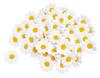 Fleurs de marguerite VBS, 50 pc.