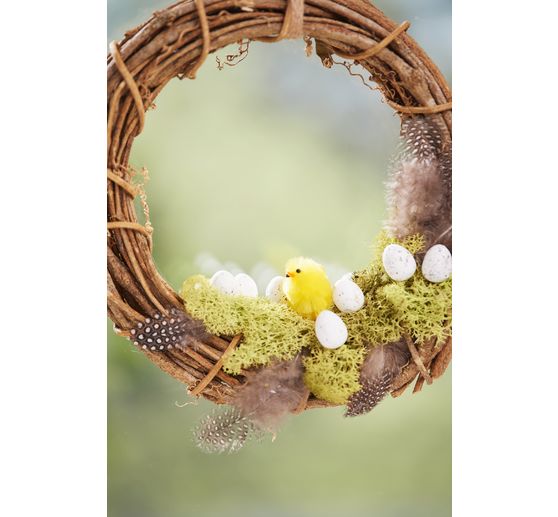 Plumes de poule