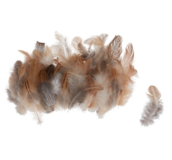 Plumes de poule, marron, 3 g