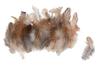 Plumes de poule, marron, 3 g