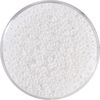 Rocailles Miyuki Blanc perle