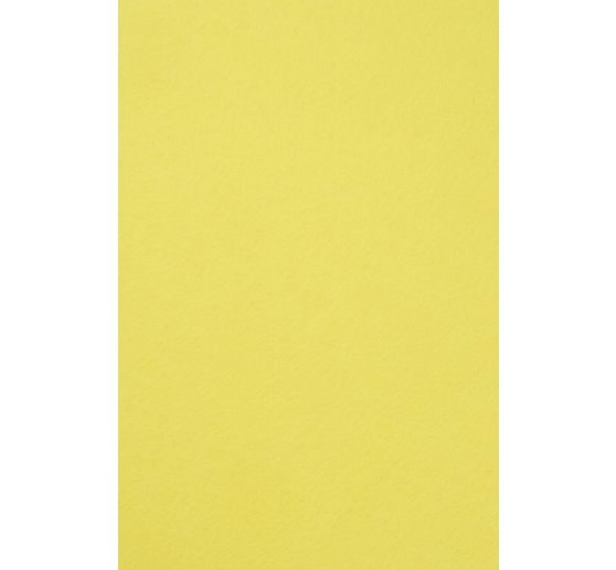 Assortiment de feutrine VBS « Basic »