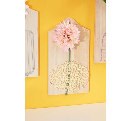 Scabiosa single stem
