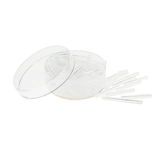 Perles bâtons en verre, Cristal, 12 g