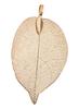 Pendentif « Feuille oblongue »