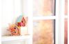 Volière déco VBS « Minis », set de 2