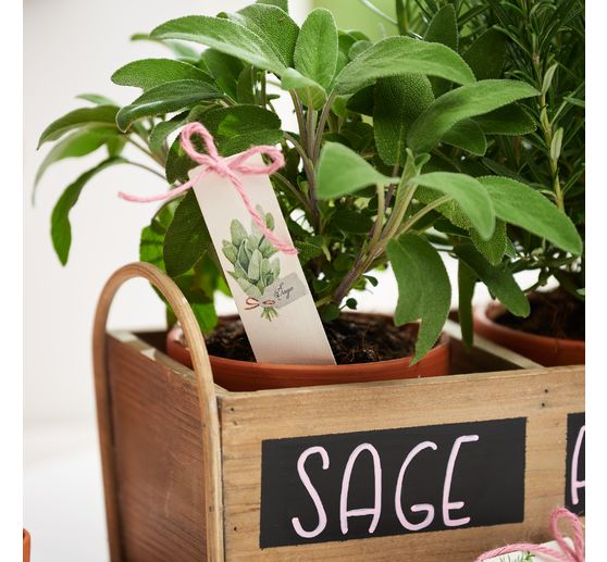 Serviette « Sélection d'herbes aromatiques »