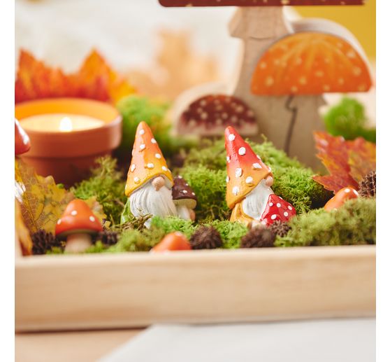 Lichen d'Islande, 400 g