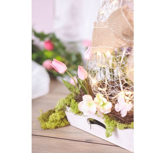 Plateaux coupelles VBS, set de 2