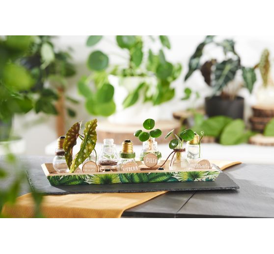 Ampoules décoratives à vis VBS, 12 pc.