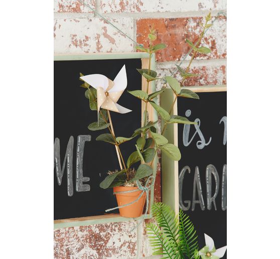 VBS Plateau, set de 5
