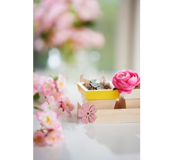 Plateau en bois 5 pots VBS