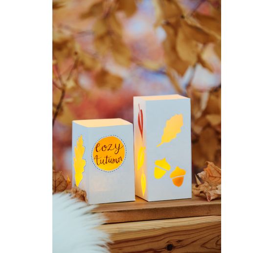 Carton photo, 50 x 70 cm, 300 g/m²