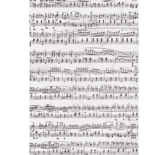 Papier transparent « Notes »