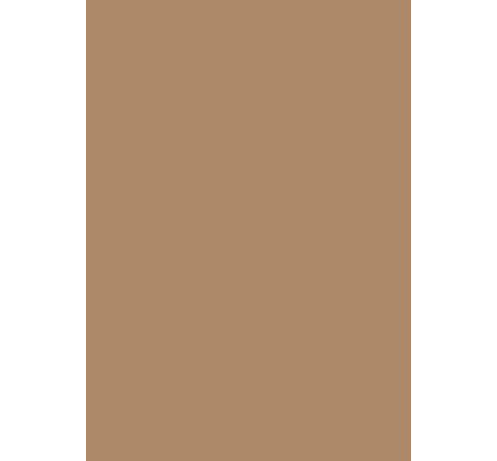 Carton teinté