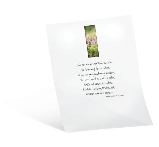 Papier transparent, 10 feuilles