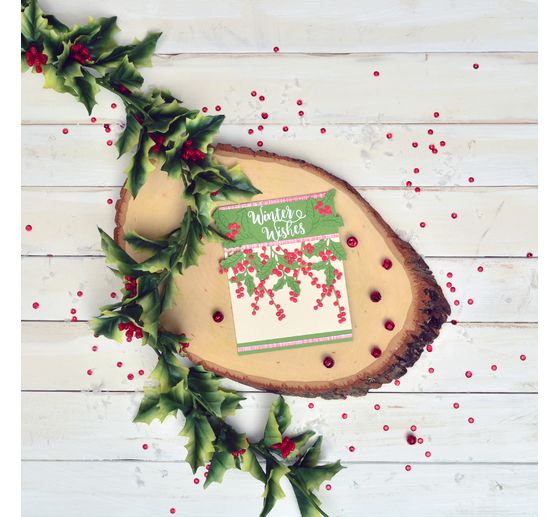 Gabarit d''estampe Sizzix Thinlits « Winter Leaves by Sophie Guilar »