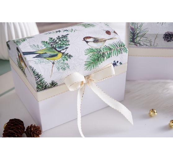 VBS Chests, set of 2, made of white cardboard