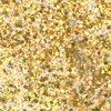 Glitter Flaky Glue Or, arc-en-ciel