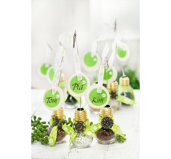 Ampoules décoratives à vis VBS, 12 pc.