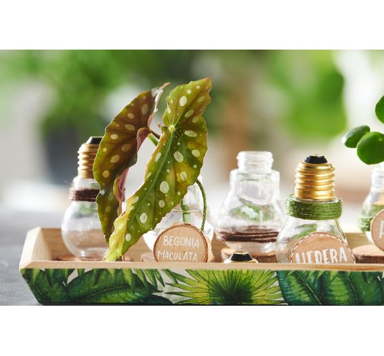 Ampoules décoratives à vis VBS, 12 pc.