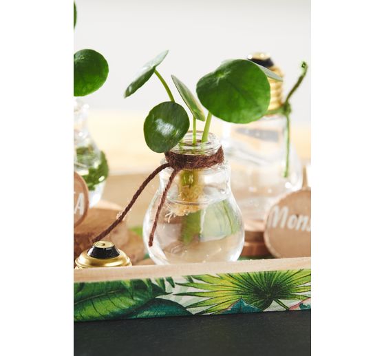 Ampoules décoratives à vis VBS, 12 pc.