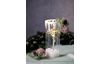 Vase en verre à suspendre VBS