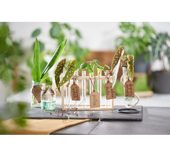 VBS Tube holder "Vase"