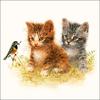 Serviette « Deux chatons »