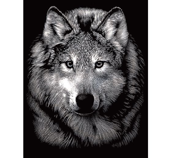 Carte à gratter « Loup », Argent, env. 11x 18 cm