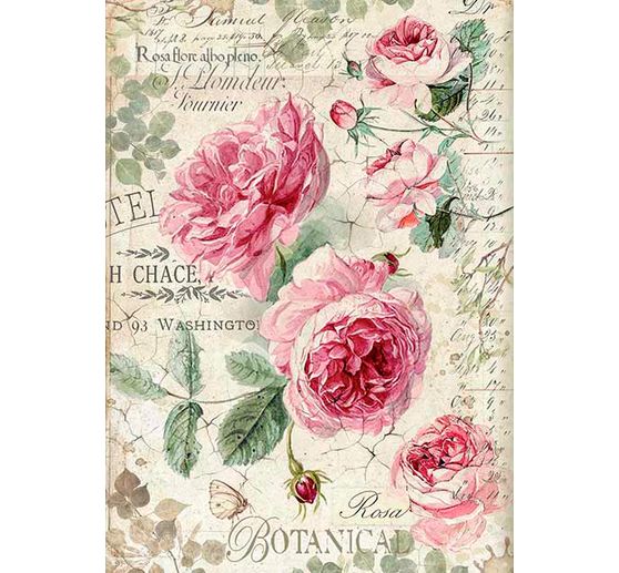 Soie de paille à motifs « English roses », A4