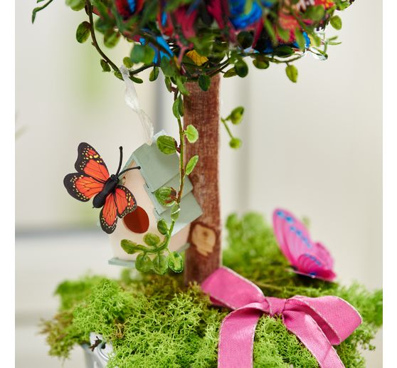 Branches de bouleau, 20 pc.